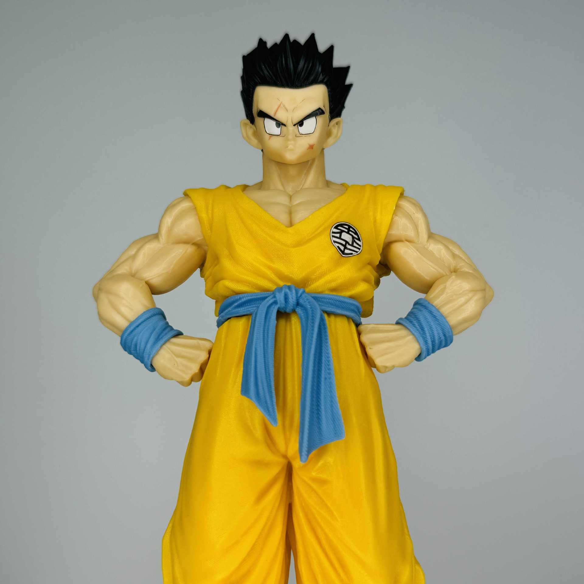 Anime Dragon Ball Z Figure Goh - Model Kit Dragon 评论和价格