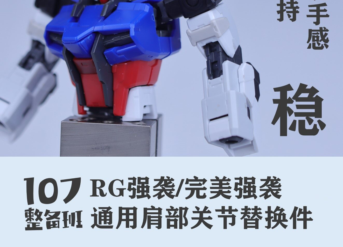 107 Series RG Strike Perfect S - Model Kit Rg 评论和价格